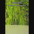 Identity V - Crafter's Workshop Truth & Inference Series Blind Box