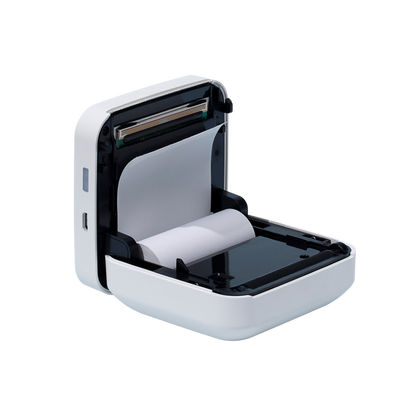 Youdao Pocket Printer Pro C - thermal printer